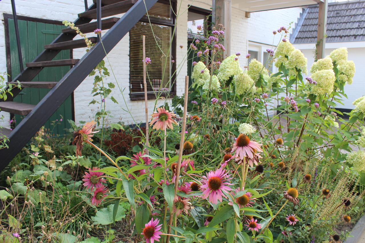 Bed and Breakfast Het Aambeeld Wanroij Exterior foto